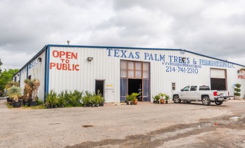 Texas Palm Trees and Irrigation LLC