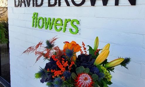 David Brown Flowers