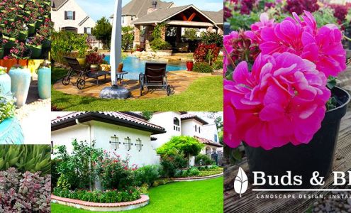 Buds & Blossoms Landscape