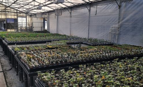 Beaver Nursery Beaver