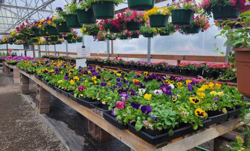 Chapman's Greenhouse and Nursery