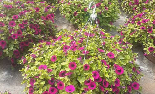 Garden Springs Greenhouse