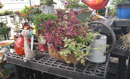 Cedar Hill Farm and Greenhouse