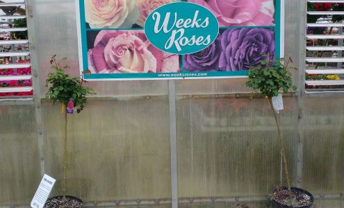 Hartman's Towne & Country Greenhouse