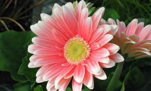 Ebert's Greenhouse Village Ixonia