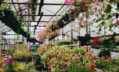 Rhodee's Floral & Greenhouses