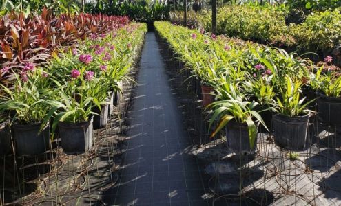 Santa Barbara Nursery Inc