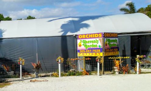 A Heavenly Garden (Orchids & Bromeliads)