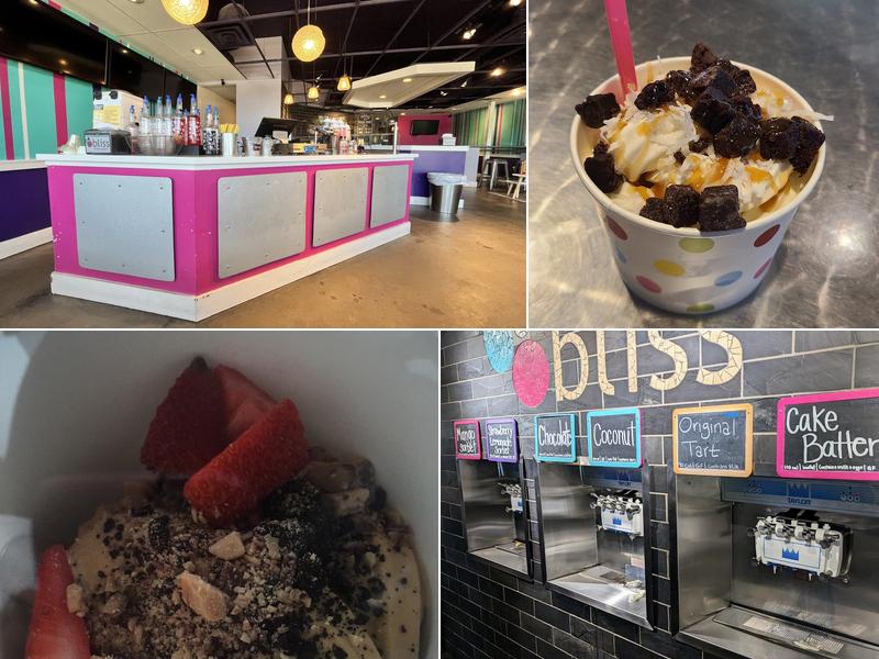 Bliss Frozen Yogurt & Shave Ice 11651 W 64th Ave, Arvada