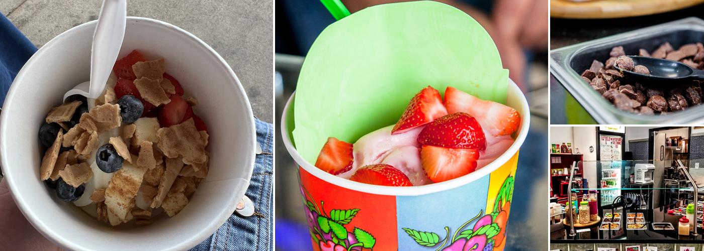 Freeze Frozen Yogurt