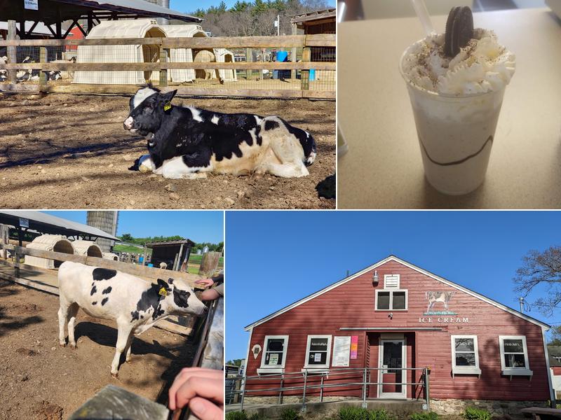 Great Brook Dairy Farm