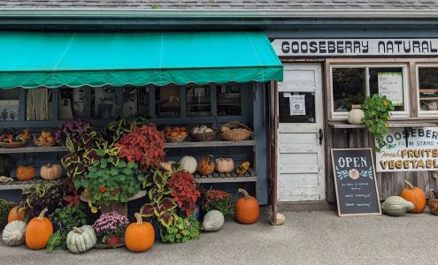 Gooseberry Natural Foods
