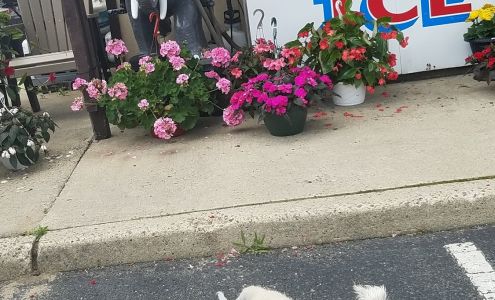 Nature's Reward Farm Market