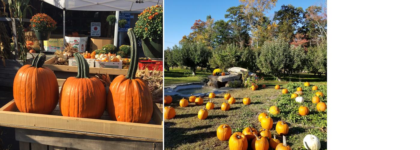 Appleland Orchards Menu