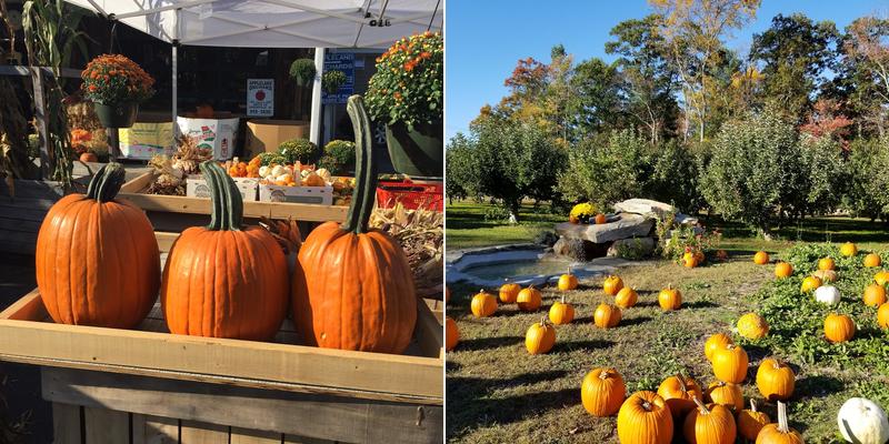 Appleland Orchards Menu