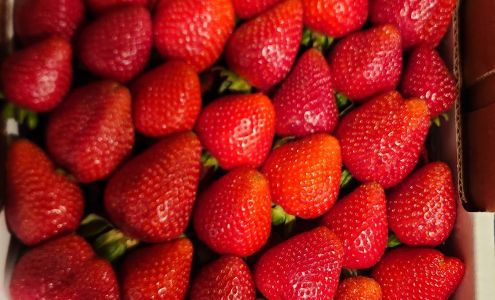 Terry Berries