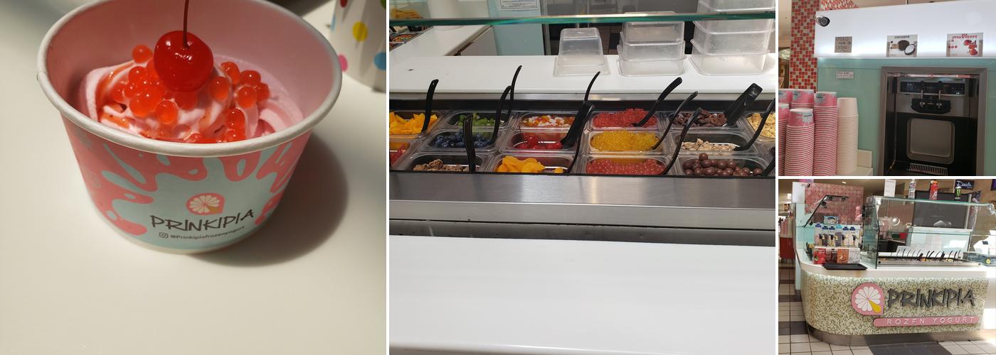 Prinkipia Frozen Yogurt