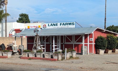 Lane Farms Pumpkin Patch