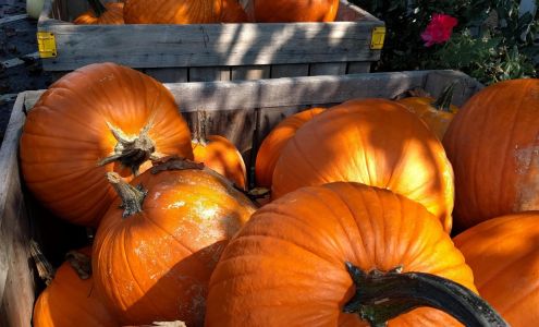 Hirsch Fruit Farm & Market