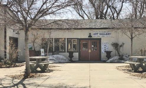 Nevada Artists Association