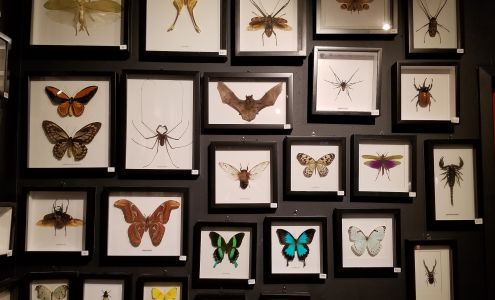 The Dark Art Emporium