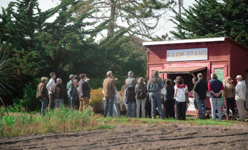 Natural Bridges Farm by Homeless Garden Project