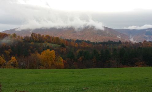 Saddleback Antiques Center