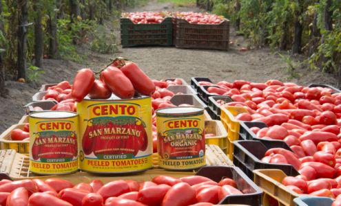 Cento Fine Foods West Deptford