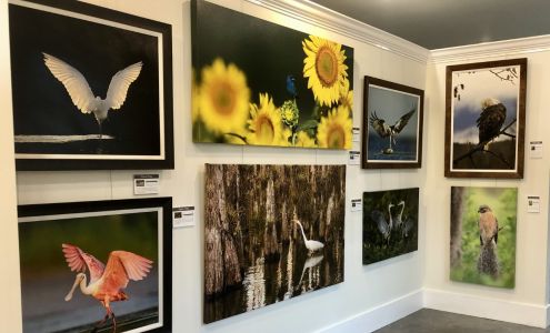 Robert Rommel Gallery of Nature