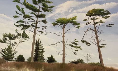 Collective Visions Gallery