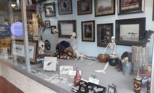 Artisans' Gallery
