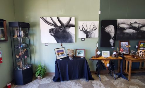 Expressions Art Gallery & Framing LLC