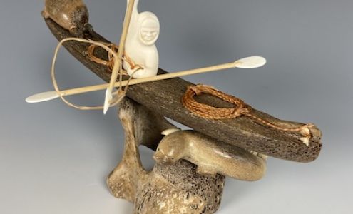 Arctic Raven Gallery