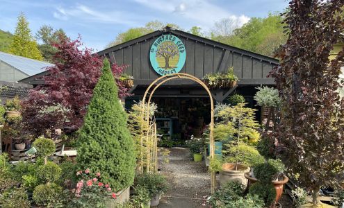 The Mustard Seed Market