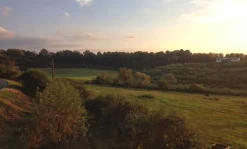 Aaron Family Orchards