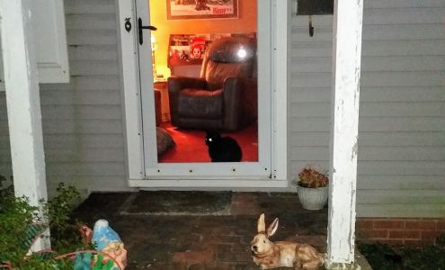 Route 43 Antique Mall