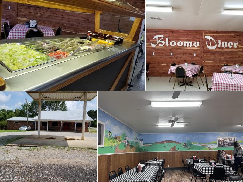 Bloomo Diner 12670 MS-486, Philadelphia