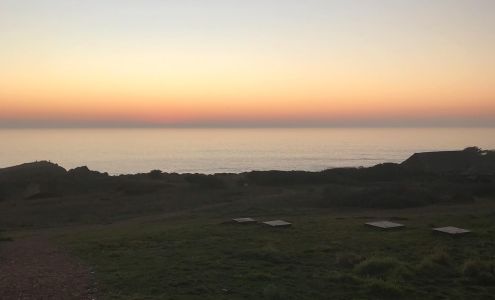 Tony Kitz Oriental Carpets