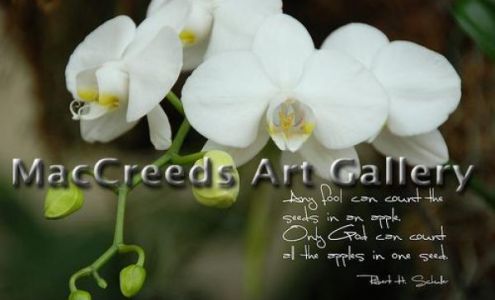 Mac Creed's Art Gallery