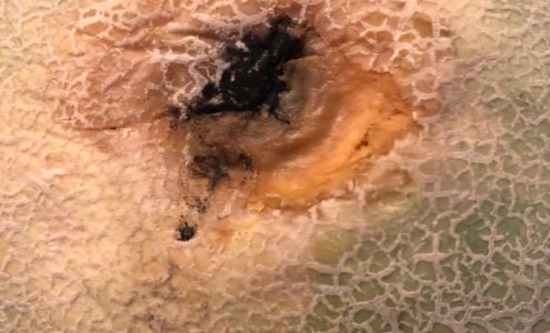 Prime Time Nutrition