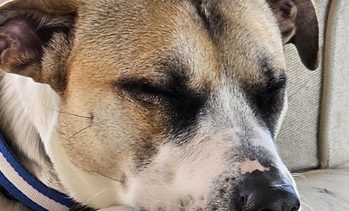 Ken's Coins Currency & Stamps