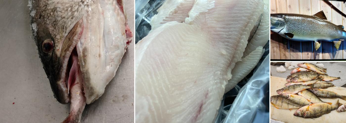 King's Fish Market Inc.