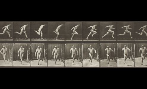 Wessel + O'Connor Fine Art