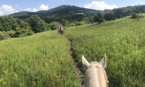 Mountain Trail Rides Horseback Riding & More Davis