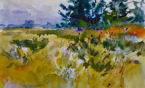 Wiegardt Studio Gallery