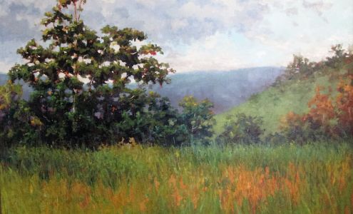 Blowing Rock Frameworks & Gallery