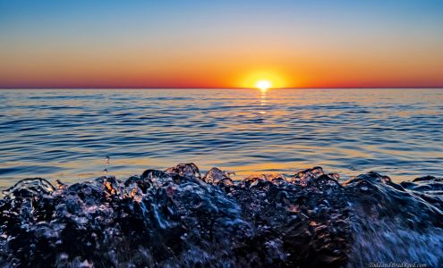 Todd & Brad Reed Photography