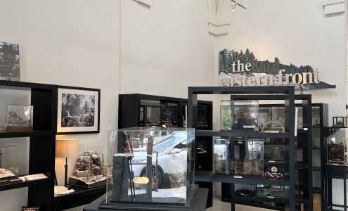 THE EASTERN FRONT GALLERY