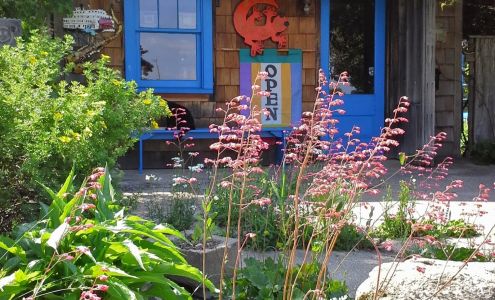 Cycling Salamander Art Gallery