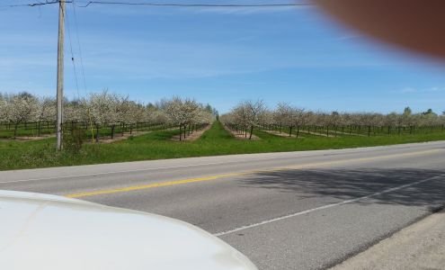 Bells of Christmas Northport